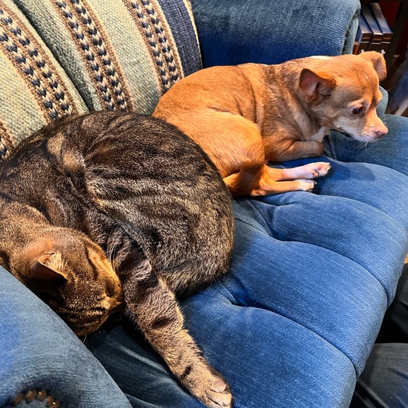sallymakela